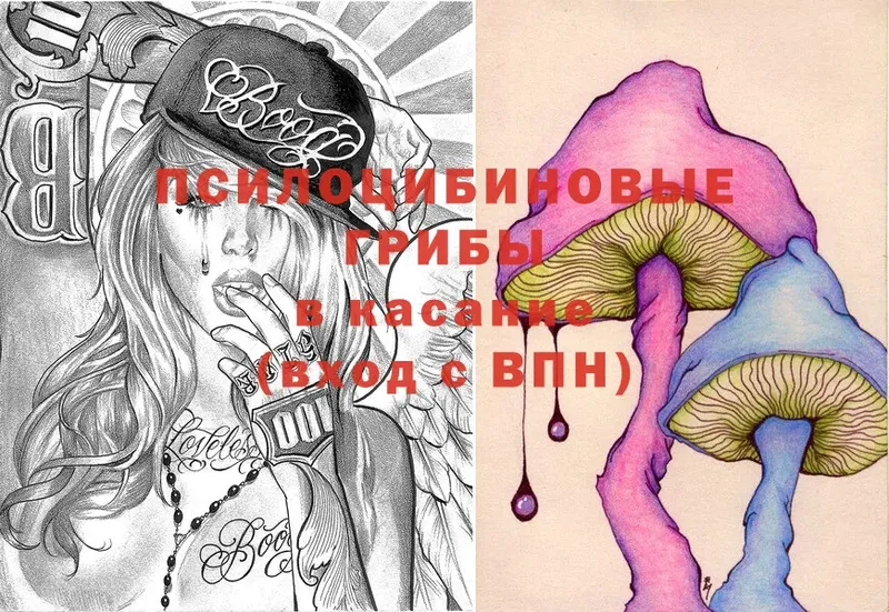 Псилоцибиновые грибы Magic Shrooms  Валдай 